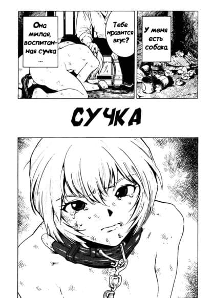 Сучка
