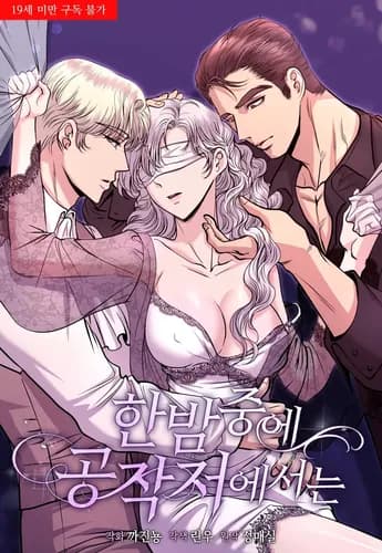 Ночь в доме герцога